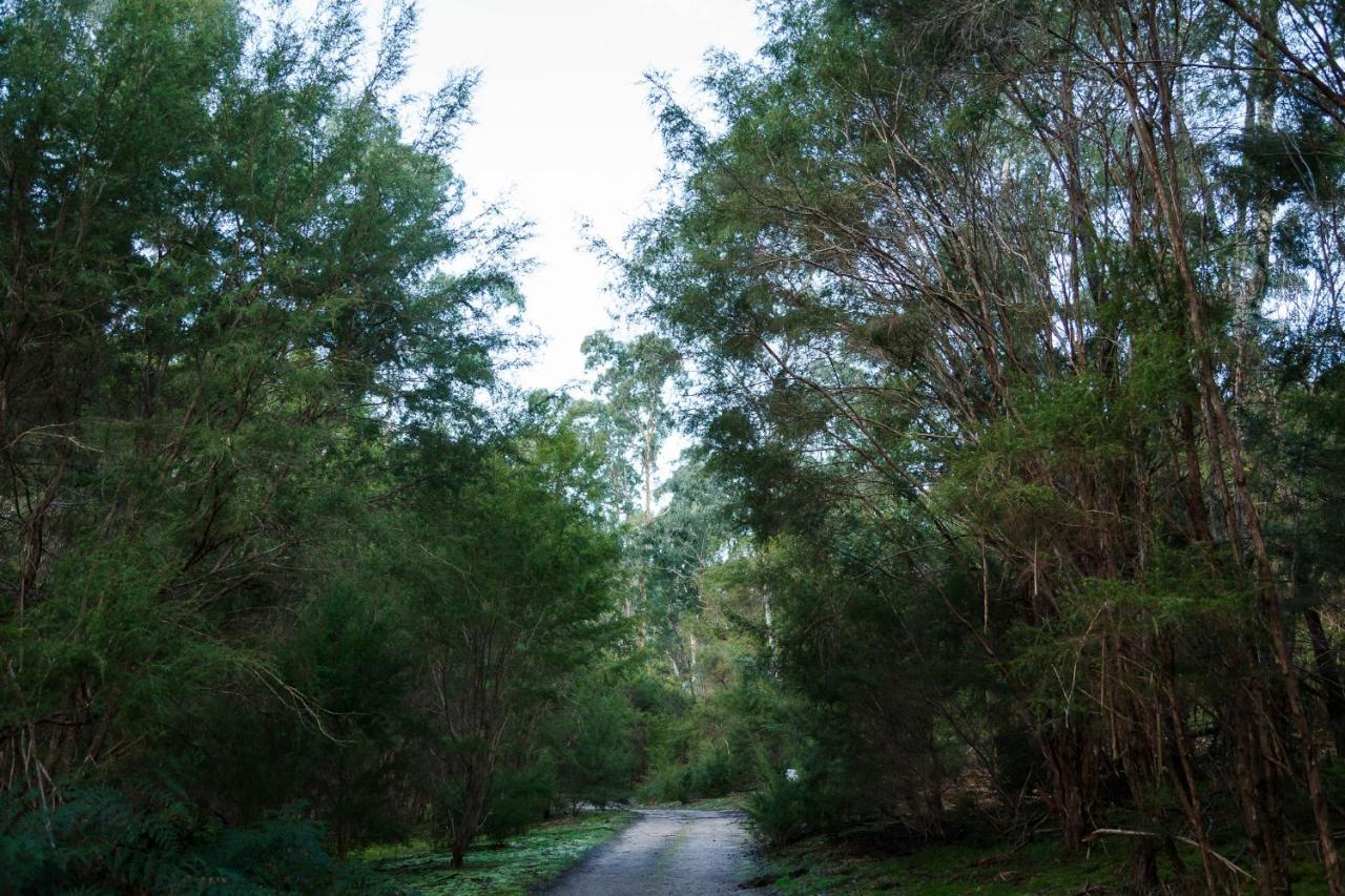 Yering Gorge Cottages Bagian luar foto