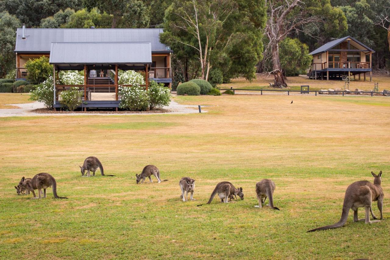 Yering Gorge Cottages Bagian luar foto